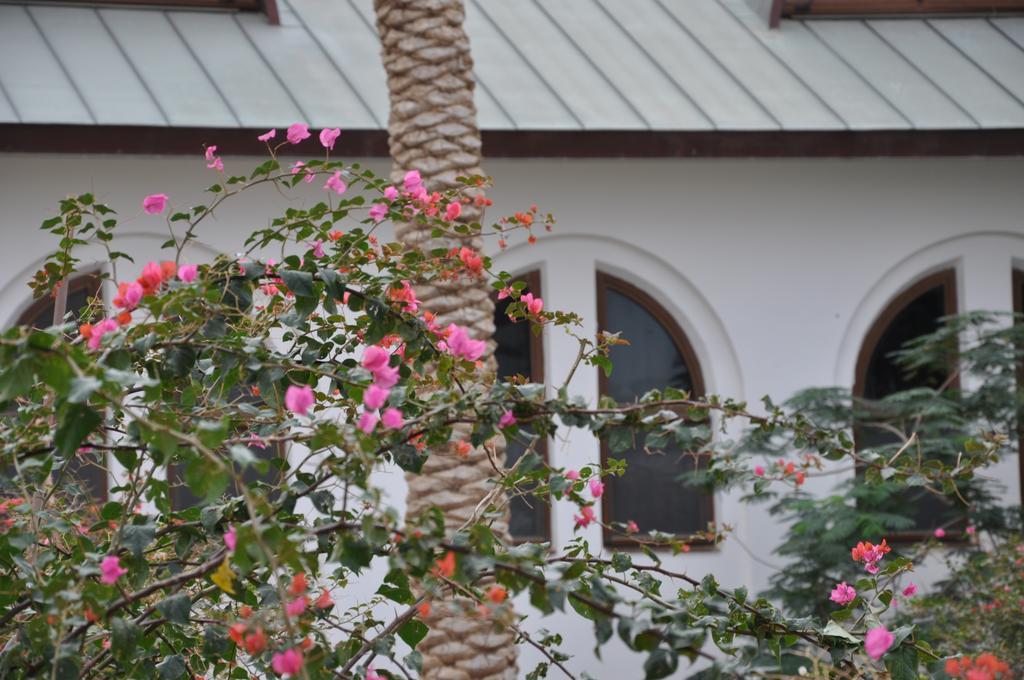 Russian Pilgrim Residence Sweimeh Luaran gambar
